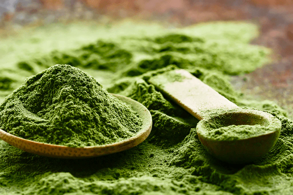 Pure organic ceremonial grade matcha powder close up